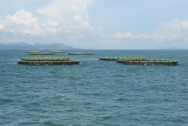 深水网箱远景四